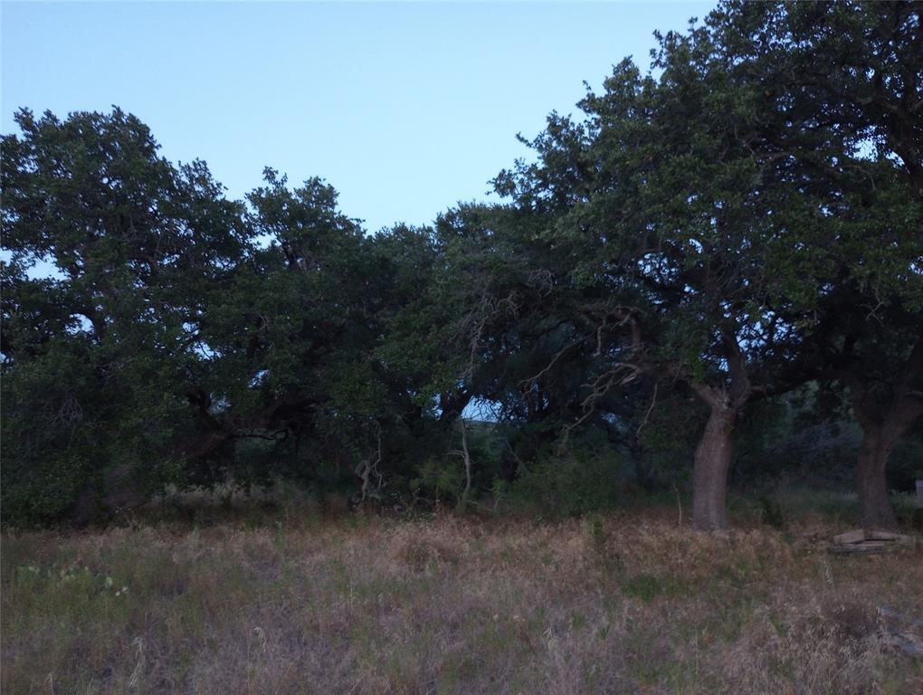 Tbd County Road 2550 Property Photo 11