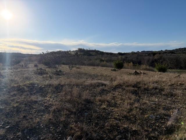 2220 Canyon Wren Loop Property Photo 3