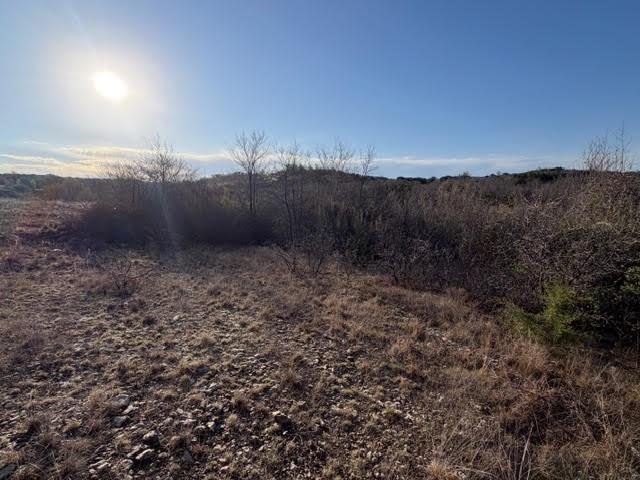 2220 Canyon Wren Loop Property Photo 7