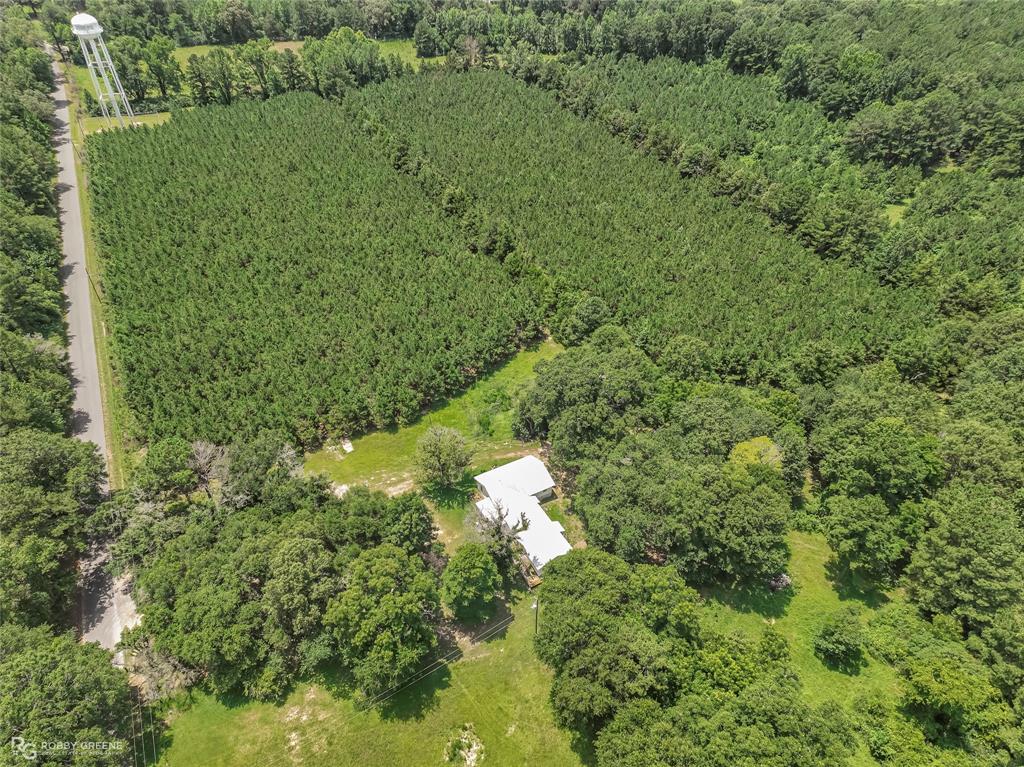 120 Bessie Crow Road Property Photo 27
