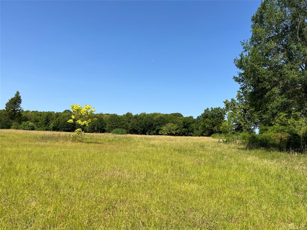16326 State Highway 155 Property Photo 12