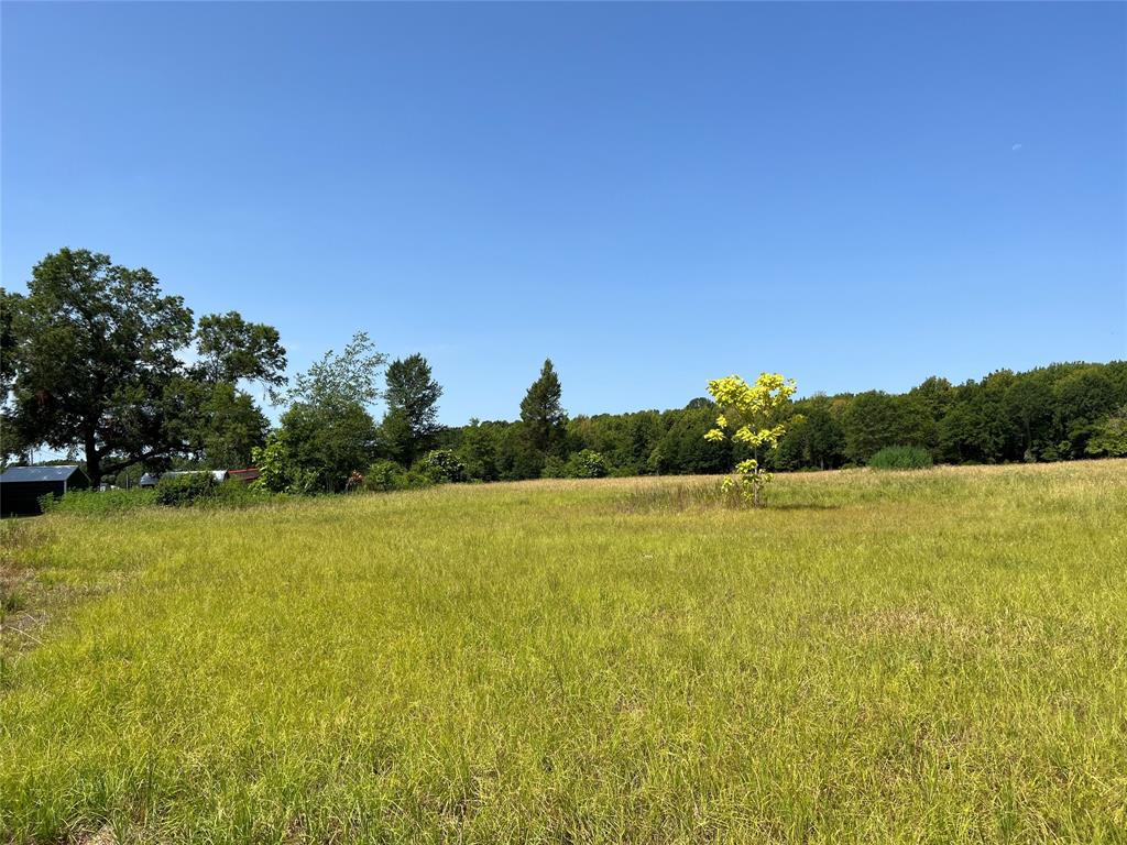 16326 State Highway 155 Property Photo 13