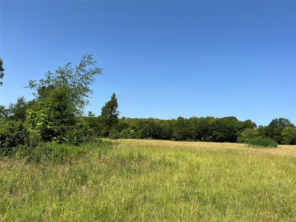 16326 State Highway 155 Property Photo 15