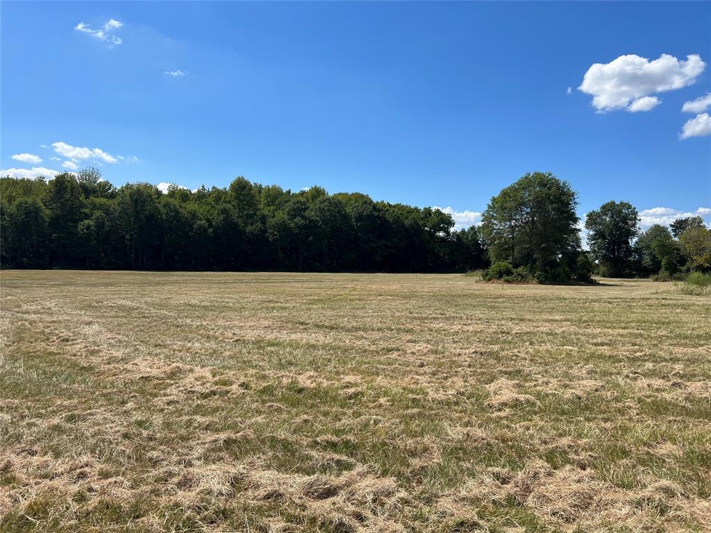 16326 State Highway 155 Property Photo 17