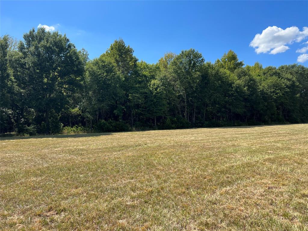 16326 State Highway 155 Property Photo 19
