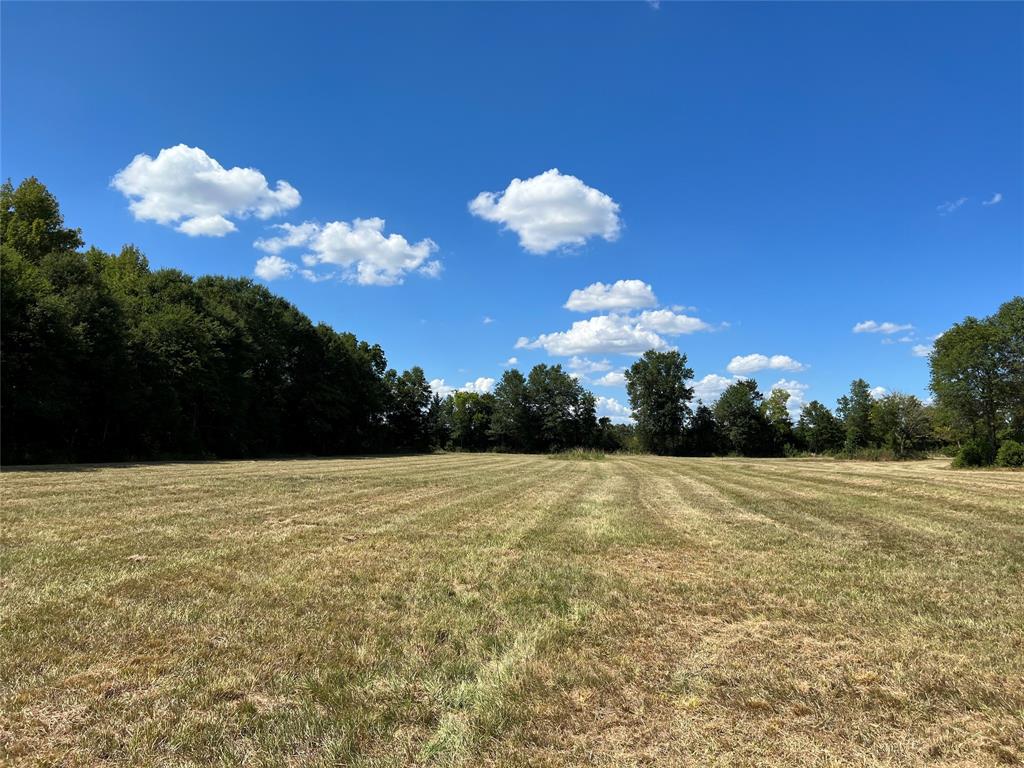 16326 State Highway 155 Property Photo 20