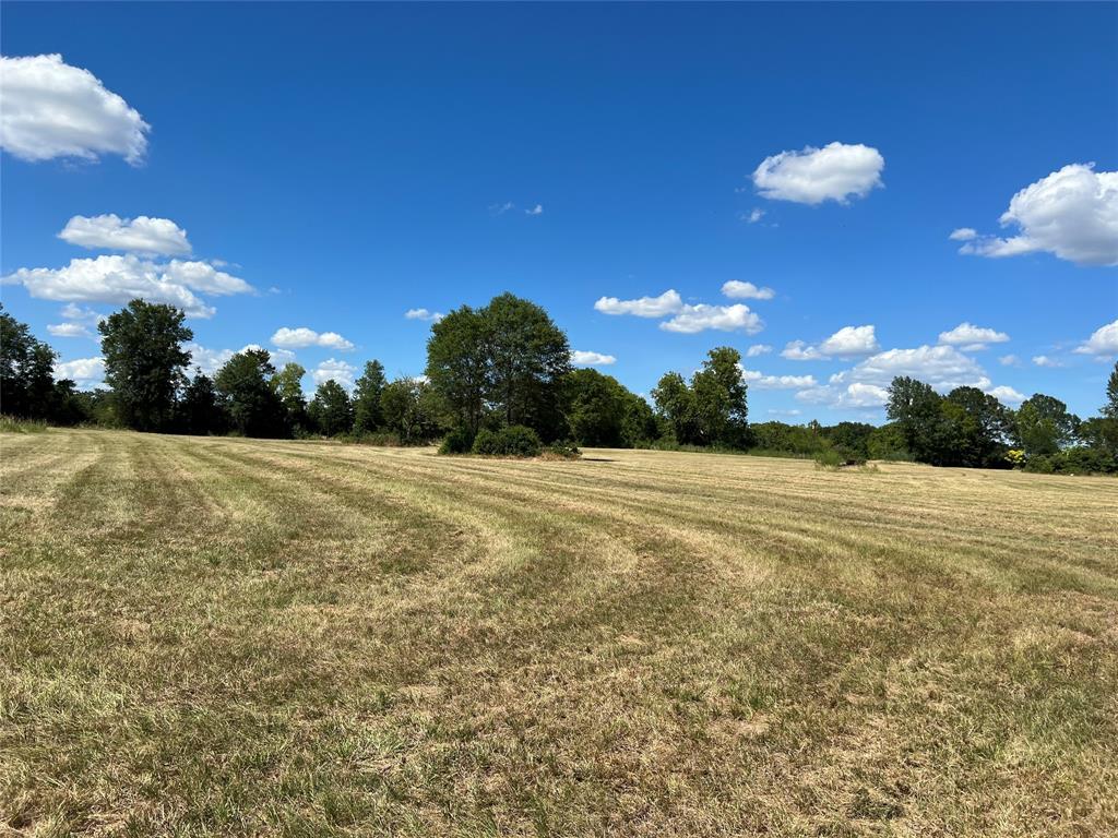 16326 State Highway 155 Property Photo 21