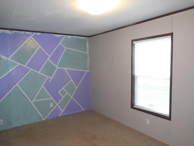 408 Bistineau Lake Road Property Photo 2