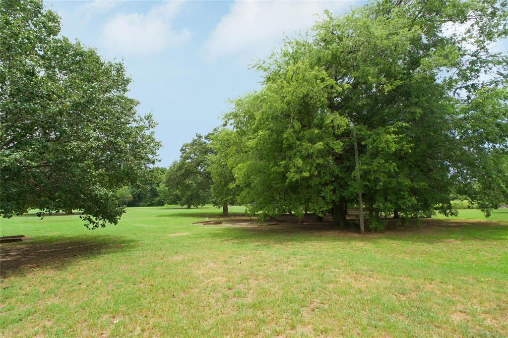 1196 County Road 260 Property Photo 5