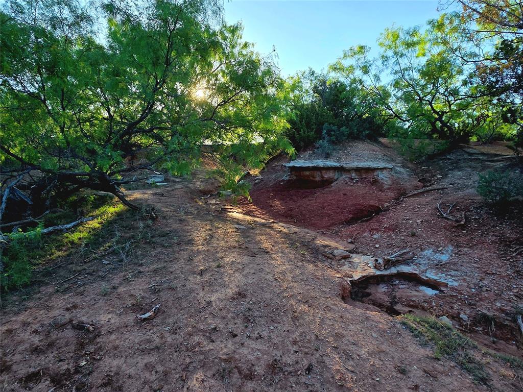 Tbd Tx-222 Property Photo 12