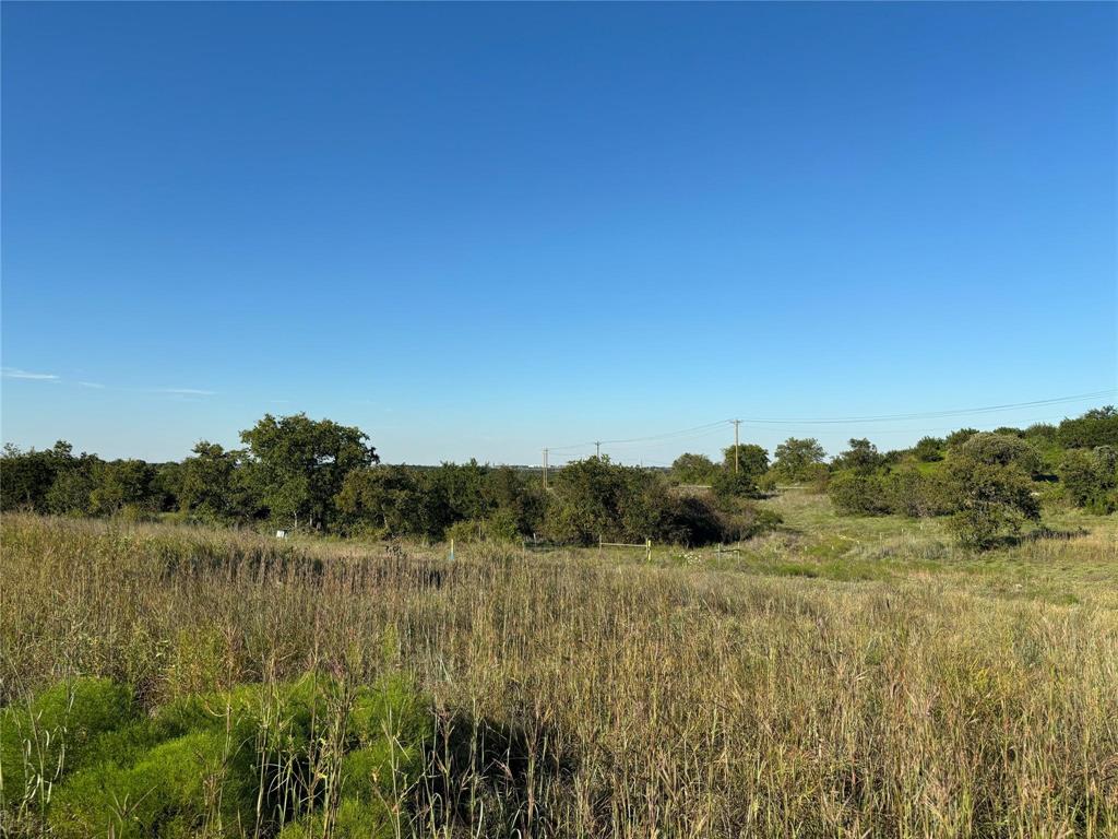 2401 True Grit Way Property Photo 4