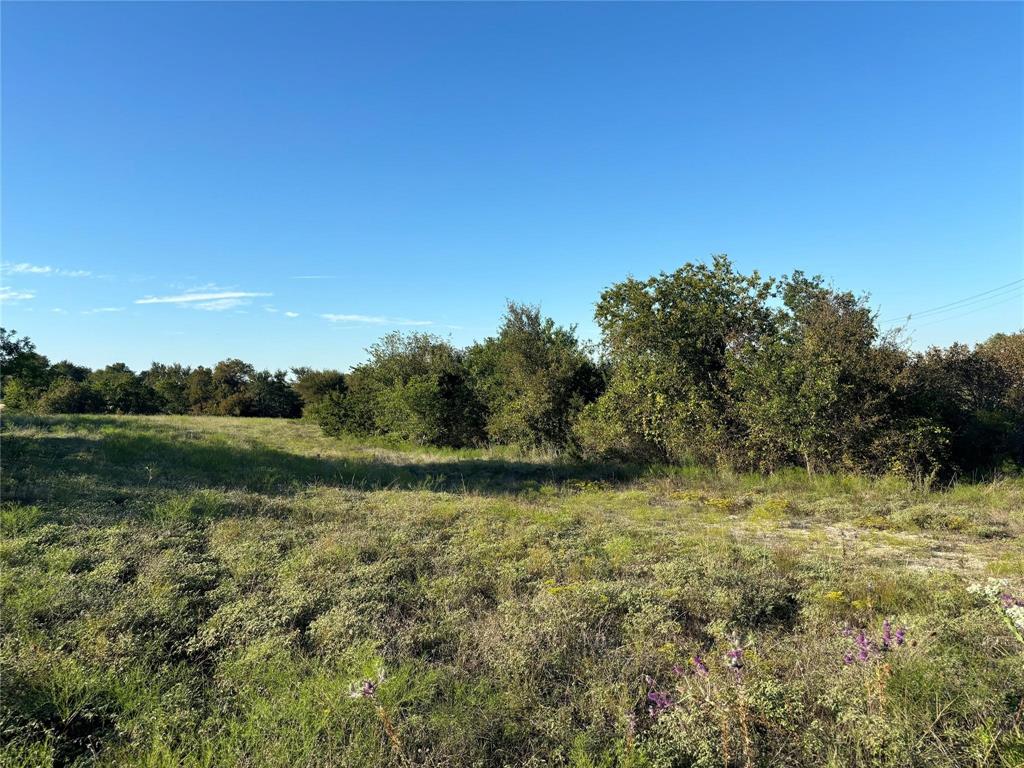 2401 True Grit Way Property Photo 6