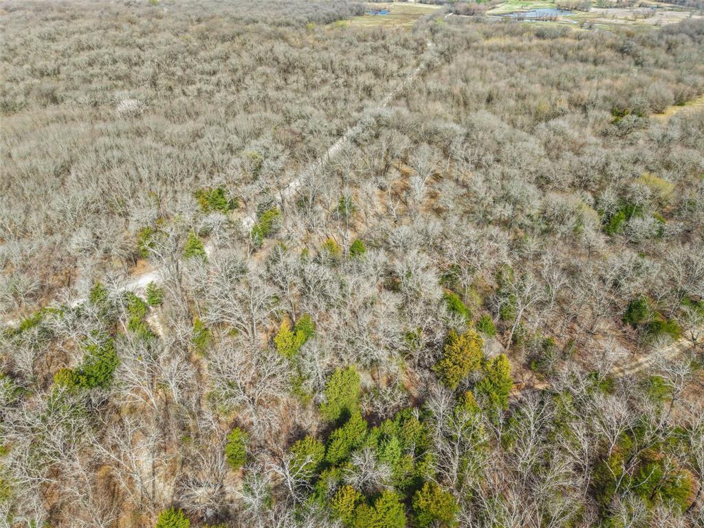 Tbd Cr 2400 Property Photo 9