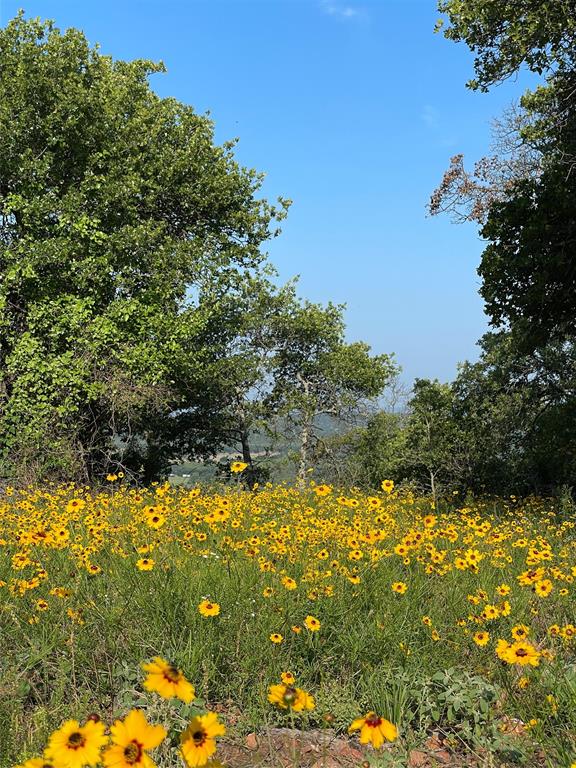1390 Clayton Mountain Road Property Photo 17