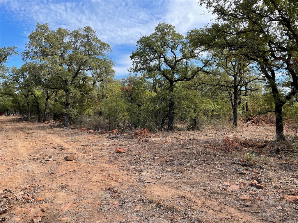 1390 Clayton Mountain Road Property Photo 18