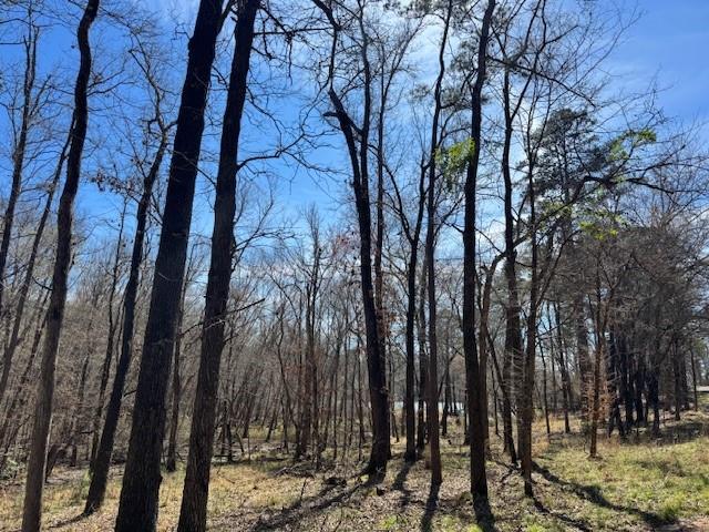 Tbd Anderson County Rd. 319 Property Photo 1