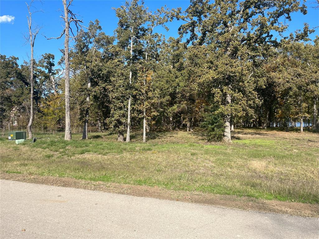 Lot 81 Open Water Point Property Photo 3