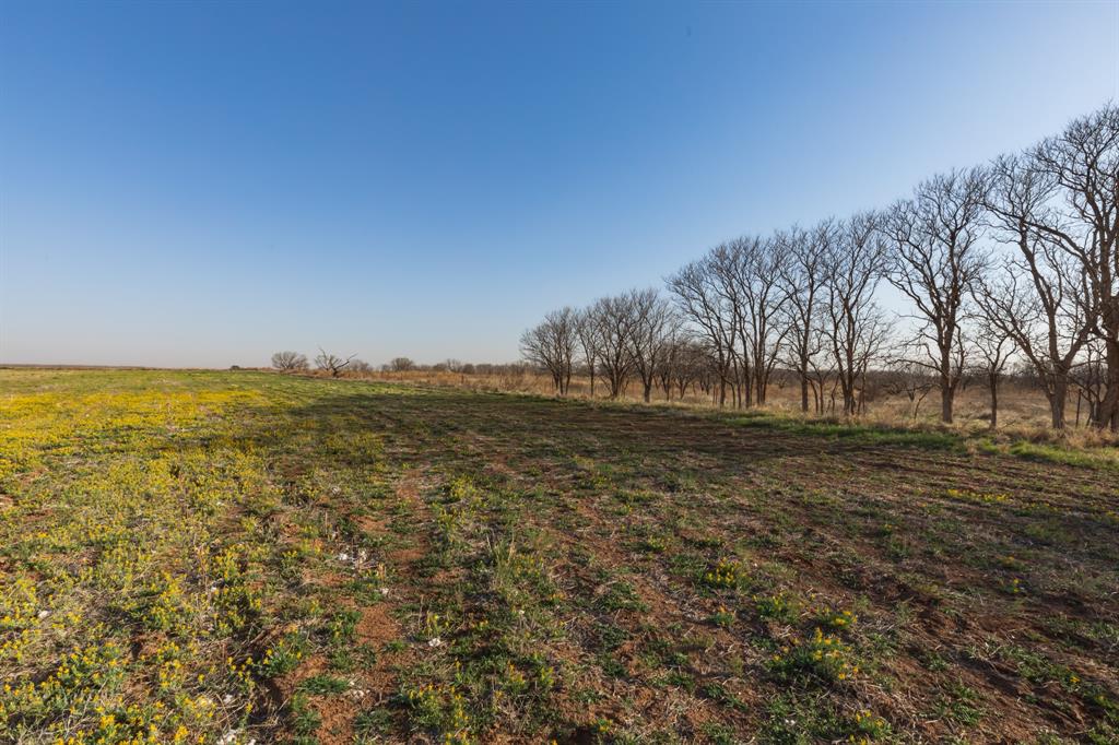 Tbd Cr 262 Property Photo 1