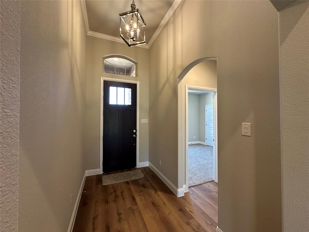 2009 Belle Lagos Ln Property Photo 2