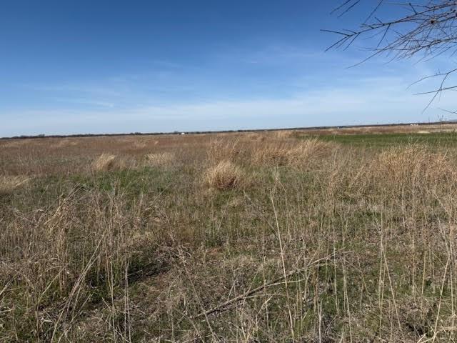 Lot 3 R G Loop Road Property Photo 5