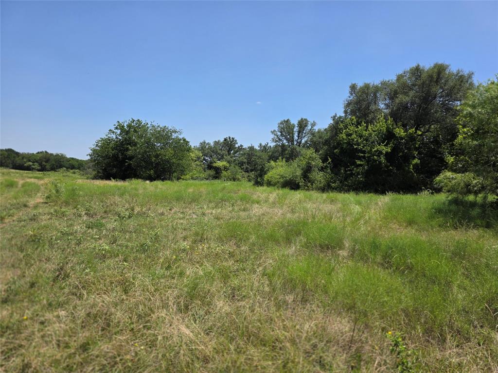 309 Hwy 36 Property Photo 1