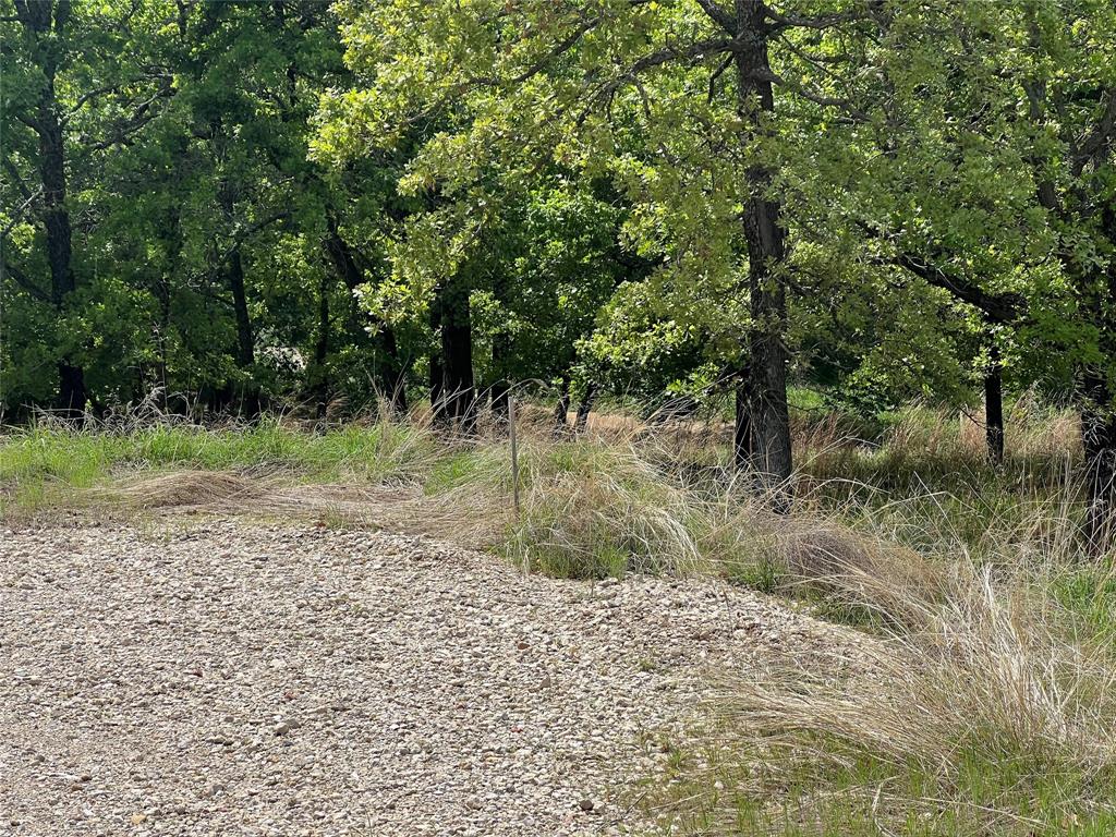 268 Falcon Drive Property Photo 4