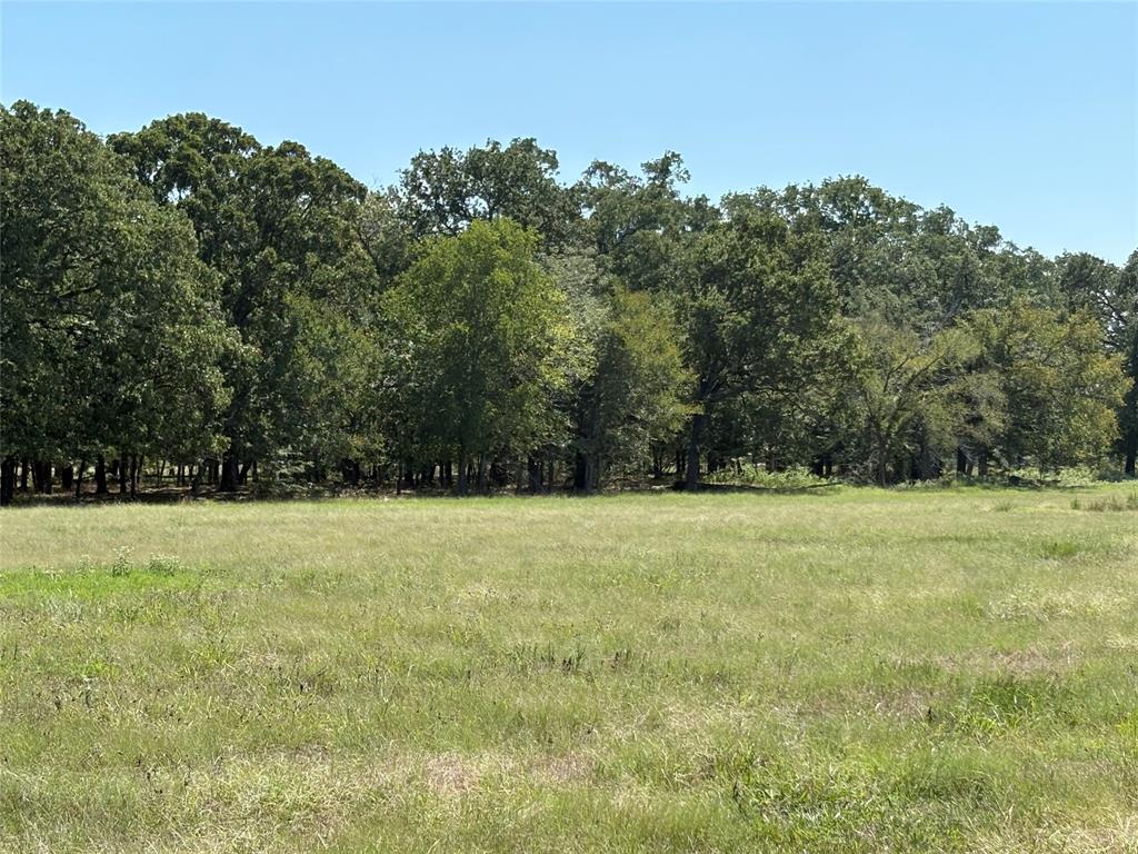 Tbd County Road 1168 3 Property Photo 1