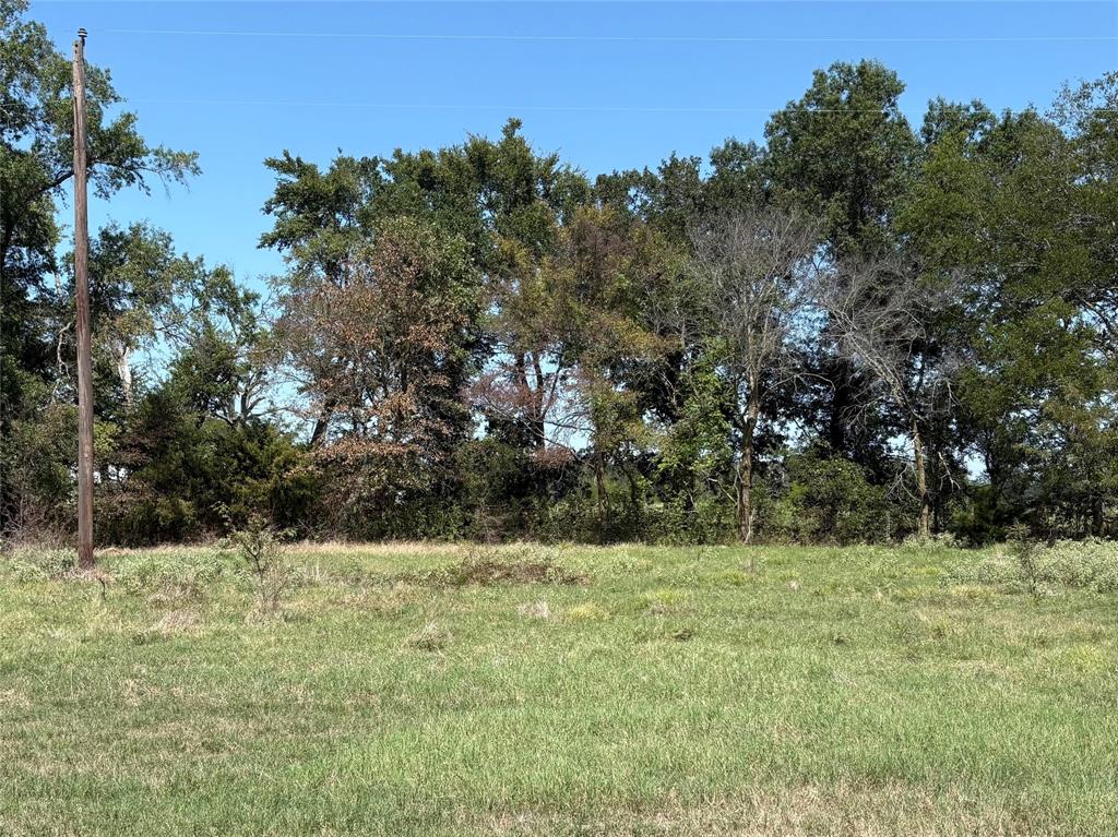 Tbd County Road 1168 3 Property Photo 3
