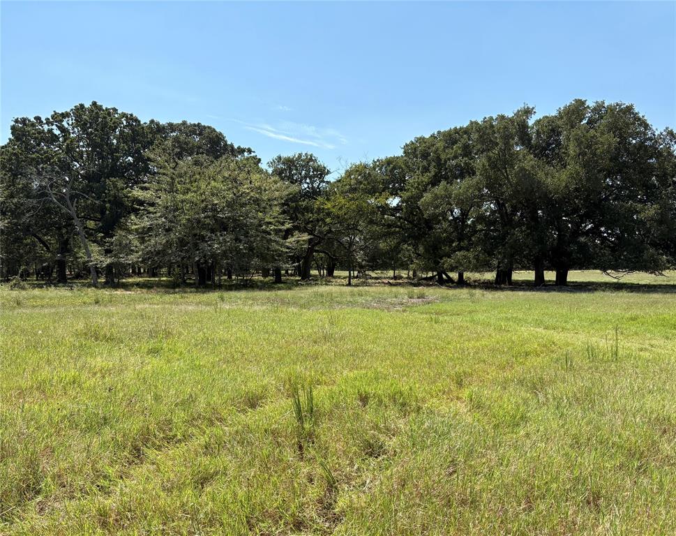 Tbd County Road 1168 3 Property Photo 3