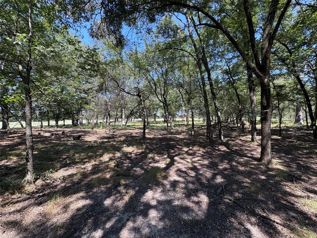 Tbd County Road 1168 3 Property Photo 4