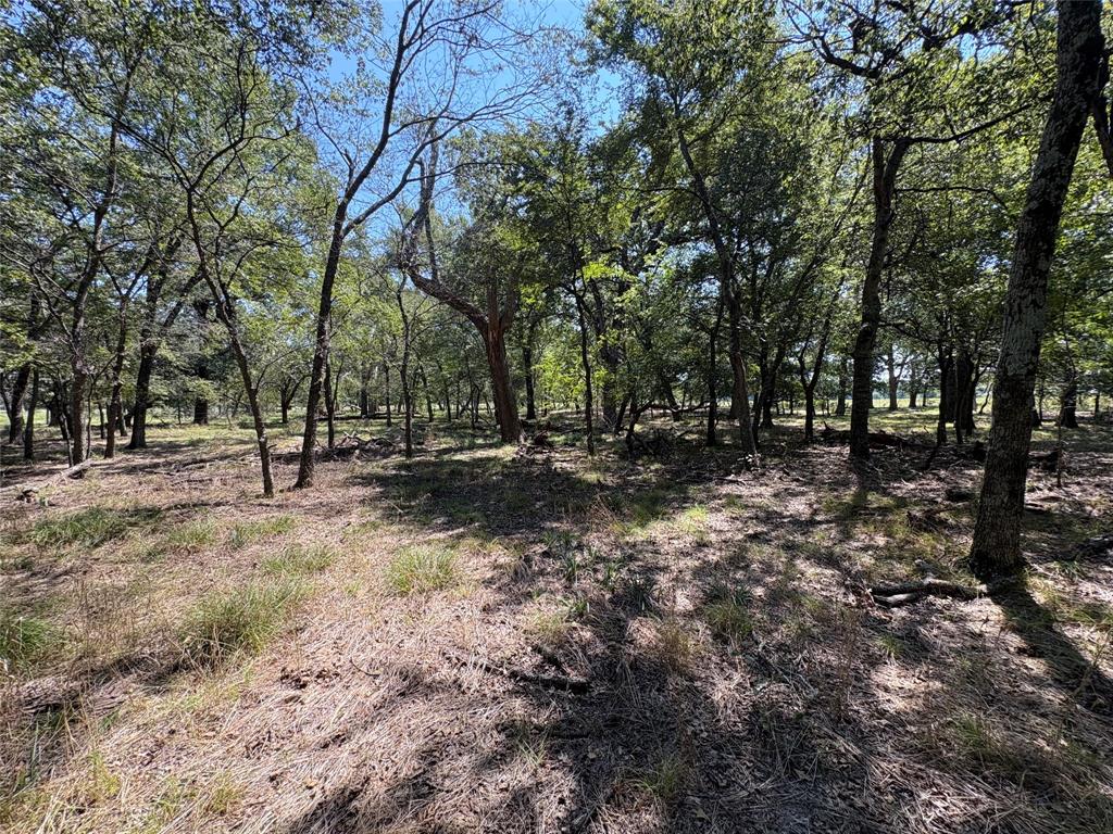 Tbd County Road 1168 3 Property Photo 5