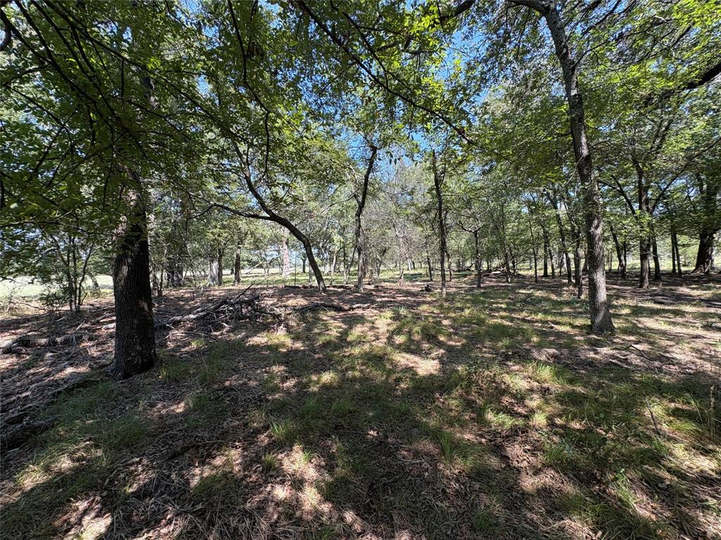 Tbd County Road 1168 3 Property Photo 6