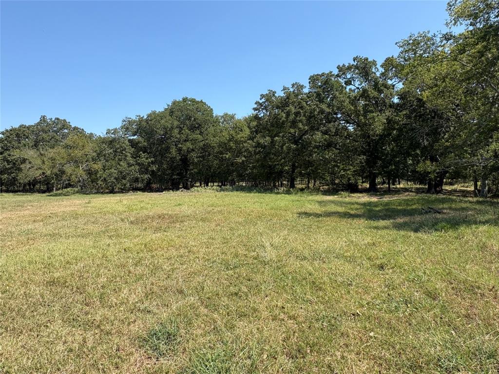 Tbd County Road 1168 3 Property Photo 7