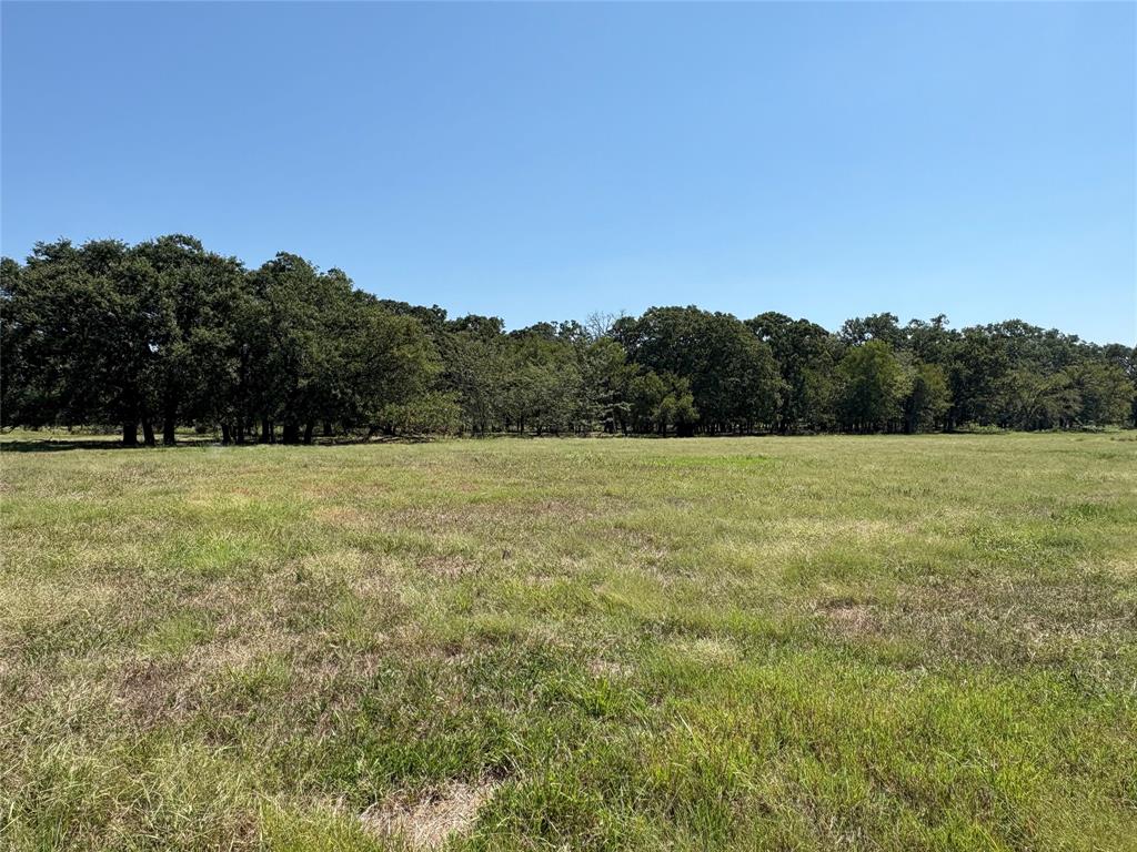 Tbd County Road 1168 3 Property Photo 9