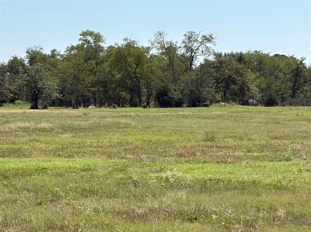 Tbd County Road 1168 3 Property Photo 10