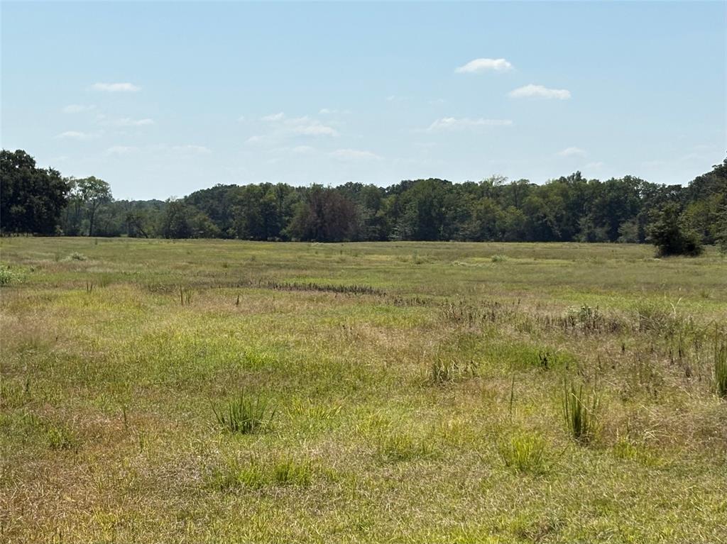 Tbd County Road 1168 3 Property Photo 11