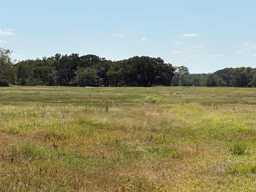 Tbd County Road 1168 3 Property Photo 12