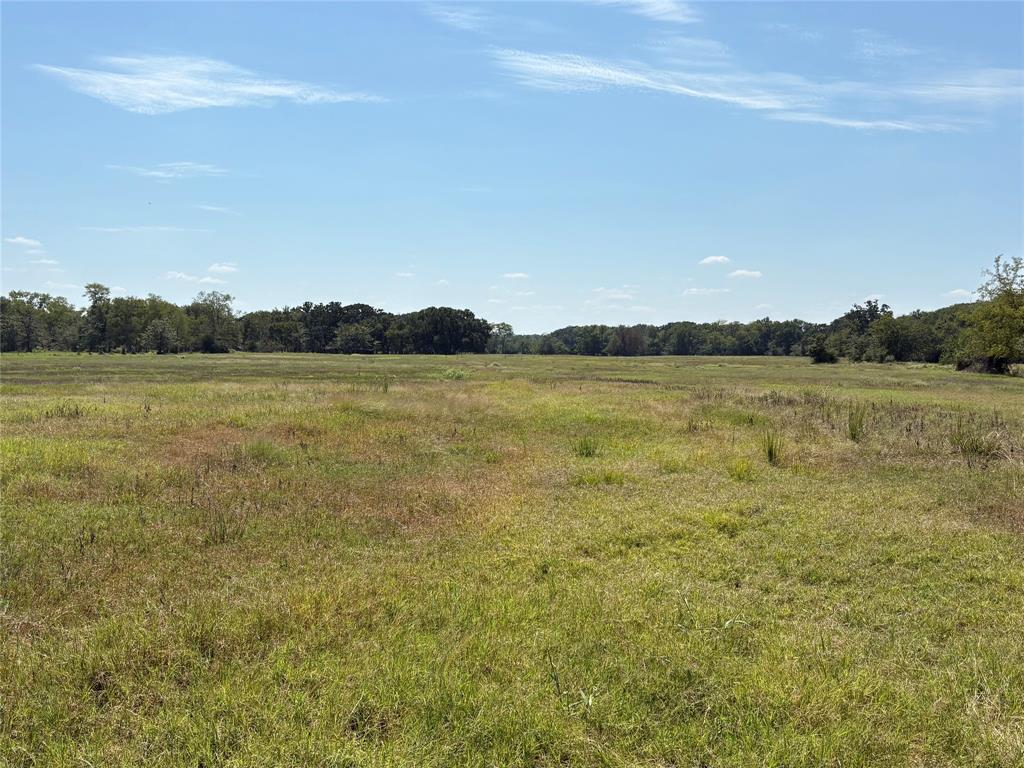 Tbd County Road 1168 3 Property Photo 13
