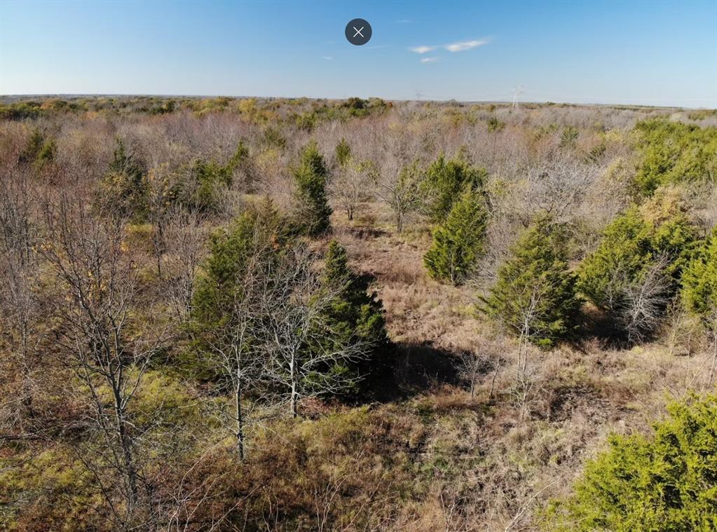 Tract 12 County Road 2951 Property Photo 2