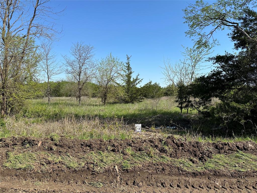 Tract 12 County Road 2951 Property Photo 4
