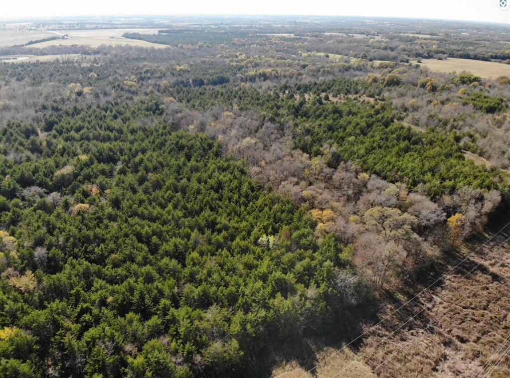 Tract 12 County Road 2951 Property Photo 24