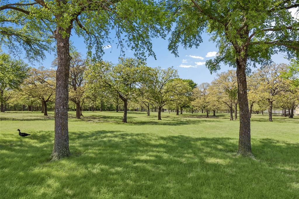 700 Temple Hall Highway Property Photo 5