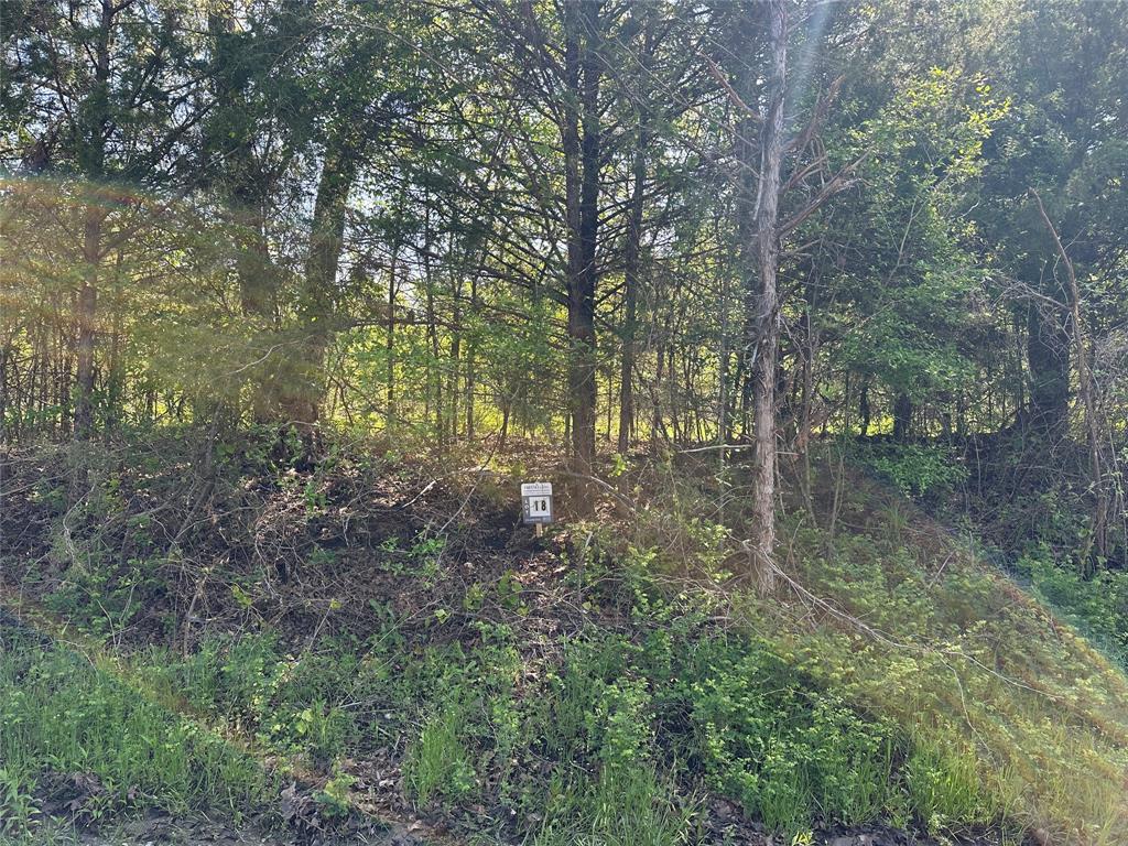 Tract 18 County Road 2960 Property Photo 1