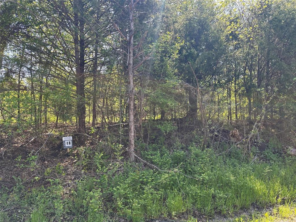 Tract 18 County Road 2960 Property Photo 2