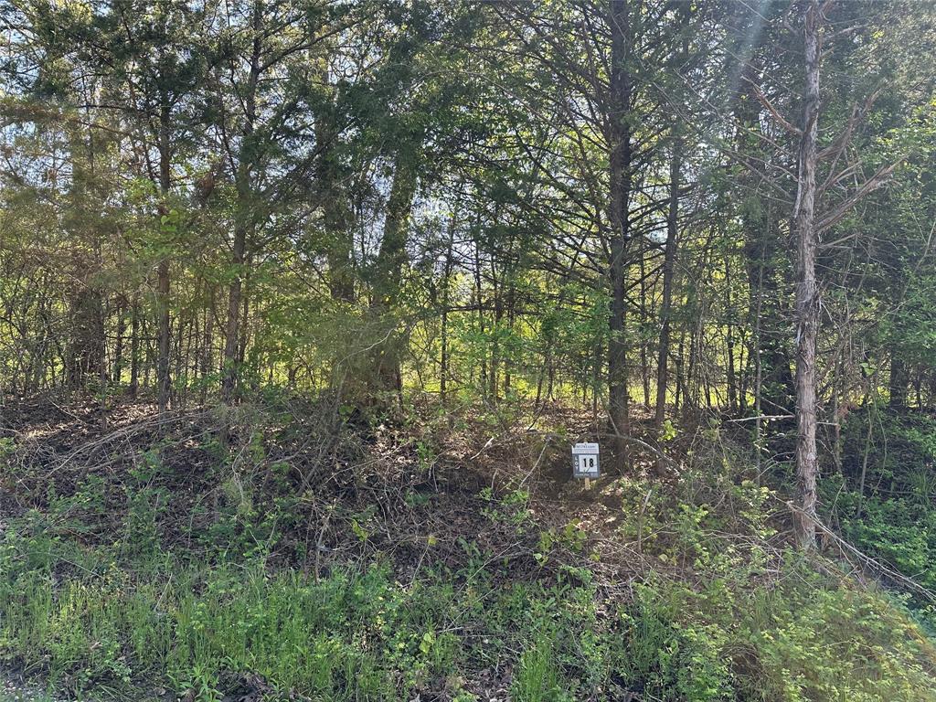 Tract 18 County Road 2960 Property Photo 3