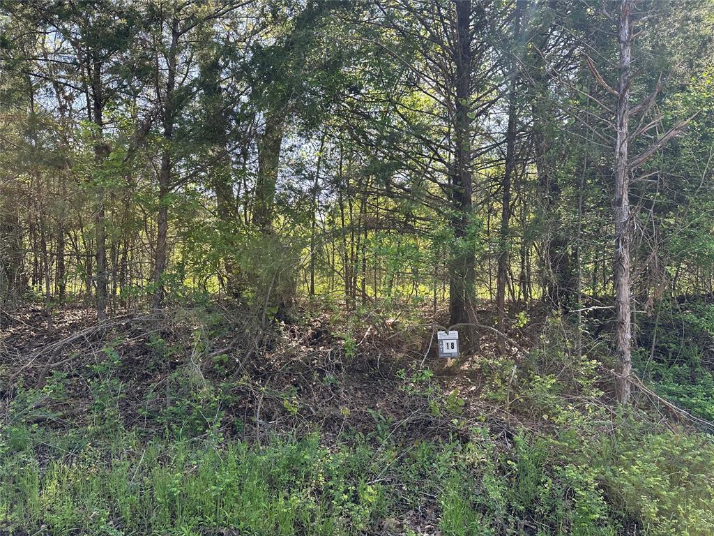 Tract 18 County Road 2960 Property Photo 4