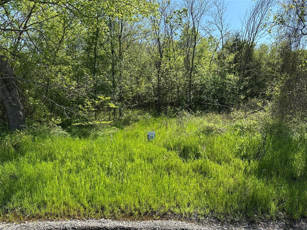 Tract 20 County Road 2960 Property Photo 1
