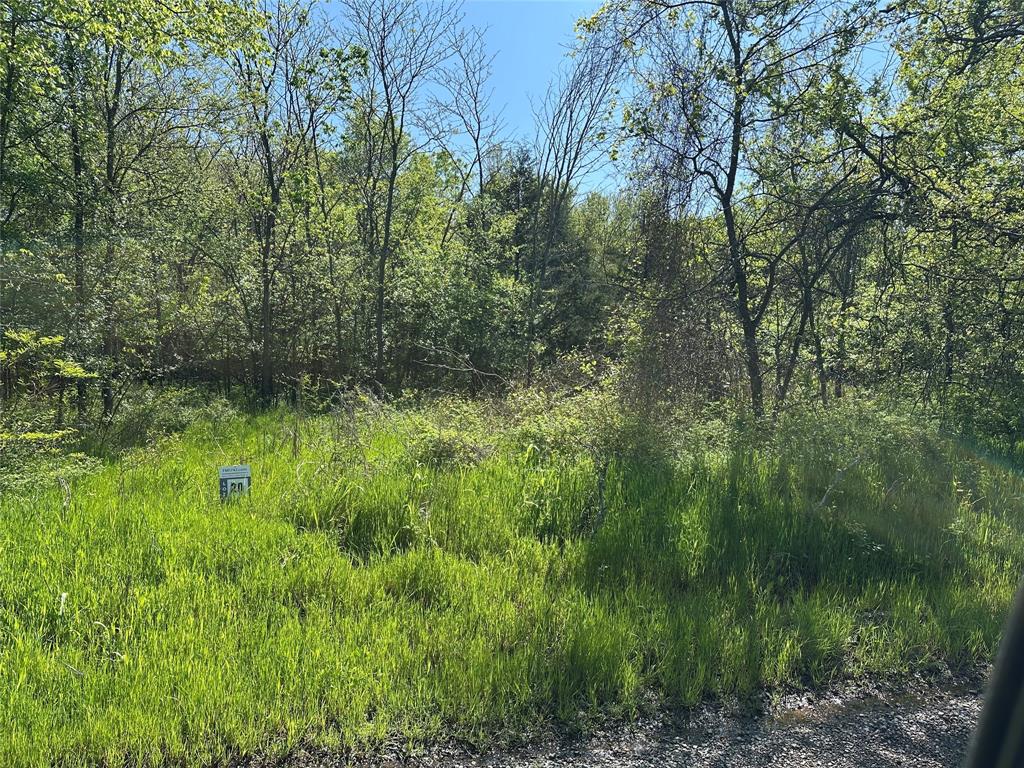 Tract 20 County Road 2960 Property Photo 2