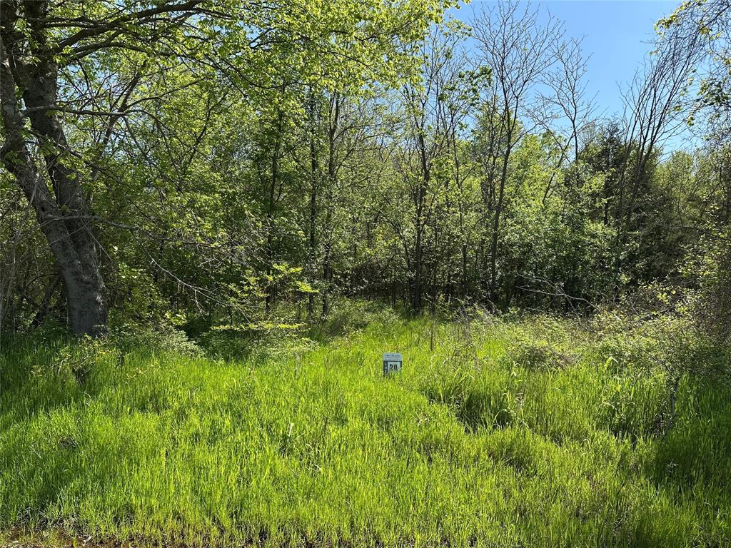 Tract 20 County Road 2960 Property Photo 3