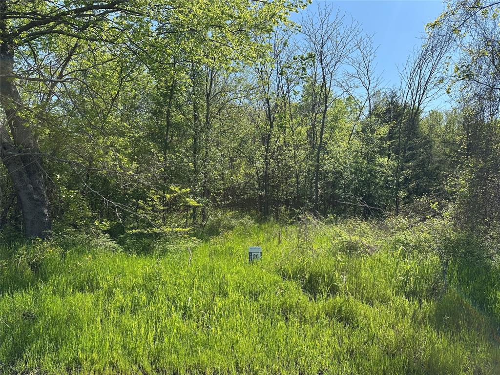 Tract 20 County Road 2960 Property Photo 4